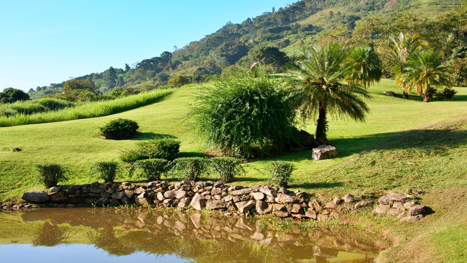 JARDIM - 08